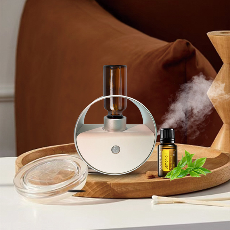 Диффузор эфирного масла, арома – обзор и цена Home Fragrance Oud